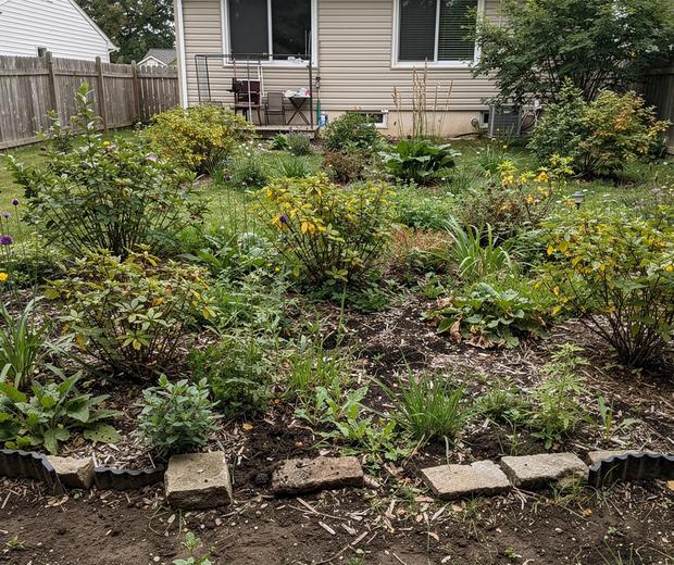 Before garden condition